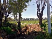 Rancho en Venta en Tequisquiapan Queretaro