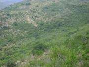 Rancho en venta en Tolimán, Querétaro