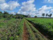 RANCHO EN VENTA EN UAYAMON, CAMPECHE CAMPECHE