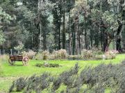 Rancho en venta en Valle de Bravo, Cancún, Estado De México