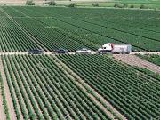 Rancho en venta en Vicente Guerrero, Cancún, Durango