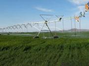 Rancho en Venta en Villa Montemorelos Durango