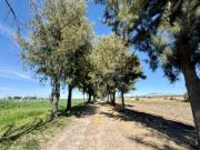 Rancho en venta, Encarnación de Díaz, Jalisco