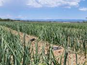 Rancho en venta, Monclova, Coahuila de Zaragoza