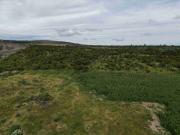 Rancho en venta san Miguel el Alto