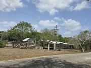 Rancho en venta Tizimin, Yucatán