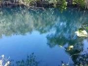 Rancho Ganadero Beefmaster