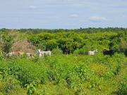 Rancho Las 3 SSS en Venta en Bacalar Quintana Roo