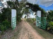 Rancho limonero cerca de Mérida Izamal propiedad privada...