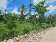 Rancho o Rancheria en Venta en Tabasco