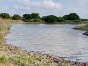 RANCHO SOTO LA MARINA