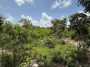 RANCHO + TERRENO EN VENTA MI RANCHITO CARRETERA FEDERAL...