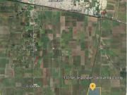 RANCHO TIERRA BLANCA Tierras de Riego Agrícola