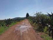 Rancho Totolquemetl en venta, 32has con casco de hacienda