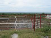 Rancho Venta Ganadero y Casería Sabinas Hidalgo Nuevo Leon