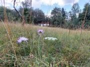 RARE 1000 étangs / Vosges Saônoises NATURE ISOLEE VUE...
