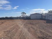 RARE AS IT'S GOT A SHED ESTABLISHED