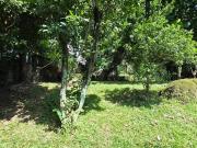 Rare Compact Vacant Lot for Sale in Loyola Grand Villas, QC