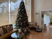 Rare Fully Furnished 6 Bedroom House for Sale in Canyon...