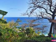 RARE: grand terrain dont 464m2 utile en 1ère ligne Océan...