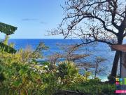 Rare: grand terrain dont 464m2 utile en 1ère ligne...