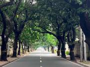 RARE LOT! 221 sq.m. Residential Lot in New Manila Quezon...