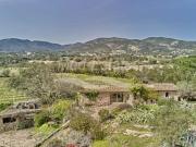 RARE MAISON DE BERGER AU MILIEU DES VIGNES.