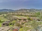 Rare Maison De Berger Au Milieu Des Vignes. 150m² Le...