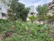 RARE RESIDENTIAL VACANT LOT FOR SALE IN DON ANTONIO...