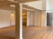 RARE SUR ANGERS: APPARTEMENT LOFT 4 chambres secteur...