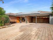 Rarely does an opportunity come to adopt this beautiful...