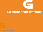 Rarität: Büro / Geschäftslokal / Showroom im...