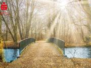 Rarität: Einfamilienhaus am Englischen Garten zur...