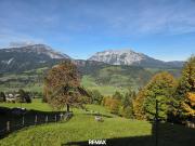 Rarität Typisches, altes steirisches Bauernhaus mit...