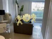 Rarus Flats Flat para venda Edifício Home Design Pinheiros