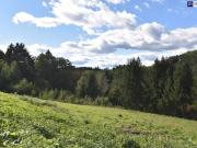 Rastbühel – Ihr neues Zuhause nur 10 Minuten von der...