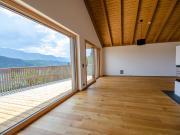 RAUM ZUM TRÄUMEN! HOCHWERTIGES WOHNHAUS NEUBAU MIT...