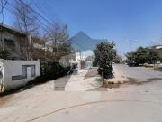 Ready To Buy A Corner House 20 Marla In Multan Wapda...