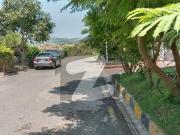 Ready To sale A Residential Plot 20 Marla In E 11/3...