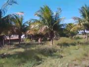 Áreas 34000 m² cajueiro estrada do galinheiro pontinhas...