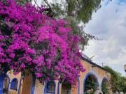 Rec?maras en Renta en Tepepan