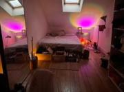 Recherche colocataire, appartement 70m2, Valmy