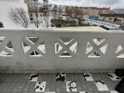 Recherche colocataire rice