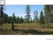 Reclot 13 Lot 3, Hudson Bay Rm No. 394, SK, S0E 0Y0...