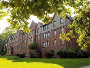 Redmont Gardens Foxglove