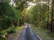 REDUCED! BUILD YOUR DREAM HOME 65 ACRES, 5 MINUTES FROM...