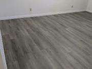 REDUCED PRICE* Newly Renovated Very large basement suite...