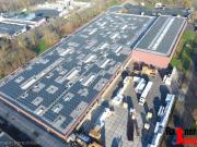 Rees: vielseitig vermietetes Gewerbeareal mit...