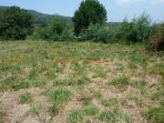 REF 1585 SOLAR DE 621m2 MOS