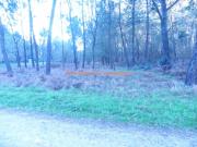 REF 2302 TERRENO RUSTICO 3100 m2 ALTO SAN COSME MOS